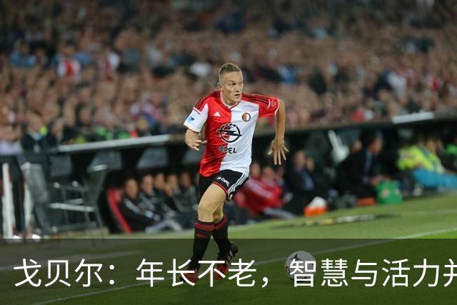 戈贝尔：年长不老，智慧与活力并存的篮球岁月
