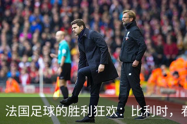 法国足球的胜利狂欢：比利时，看看你的小心脏！