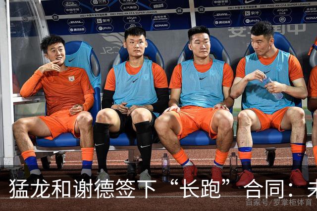 猛龙和谢德签下“长跑”合同：未来七年的篮球之路